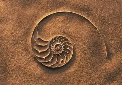 portada de la edición de una nueva ciencia de la vida por  rupert sheldrake